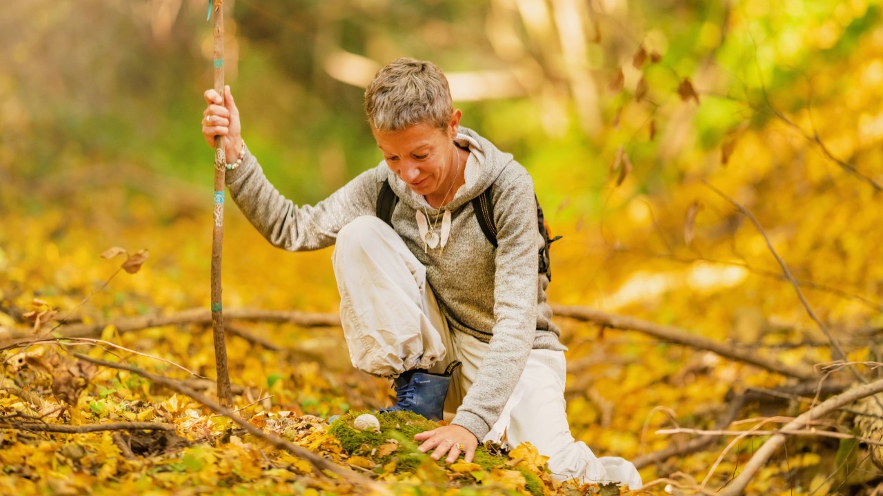 person hiking in woods stopping to touch the earth