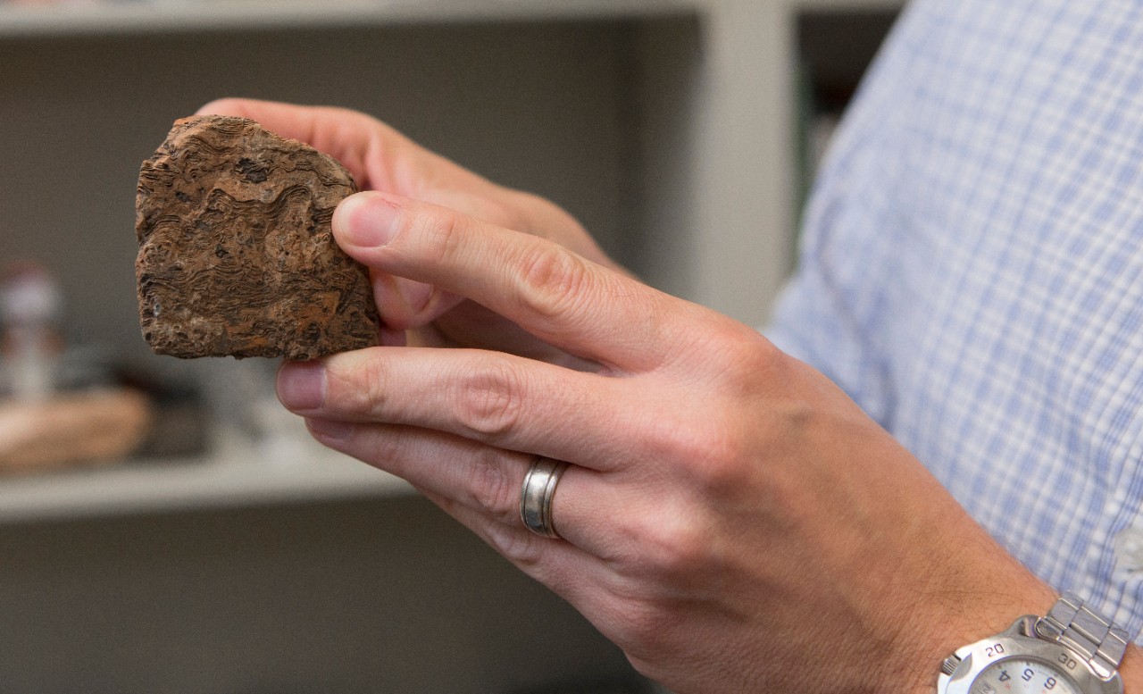 Two hands hold a fossil.