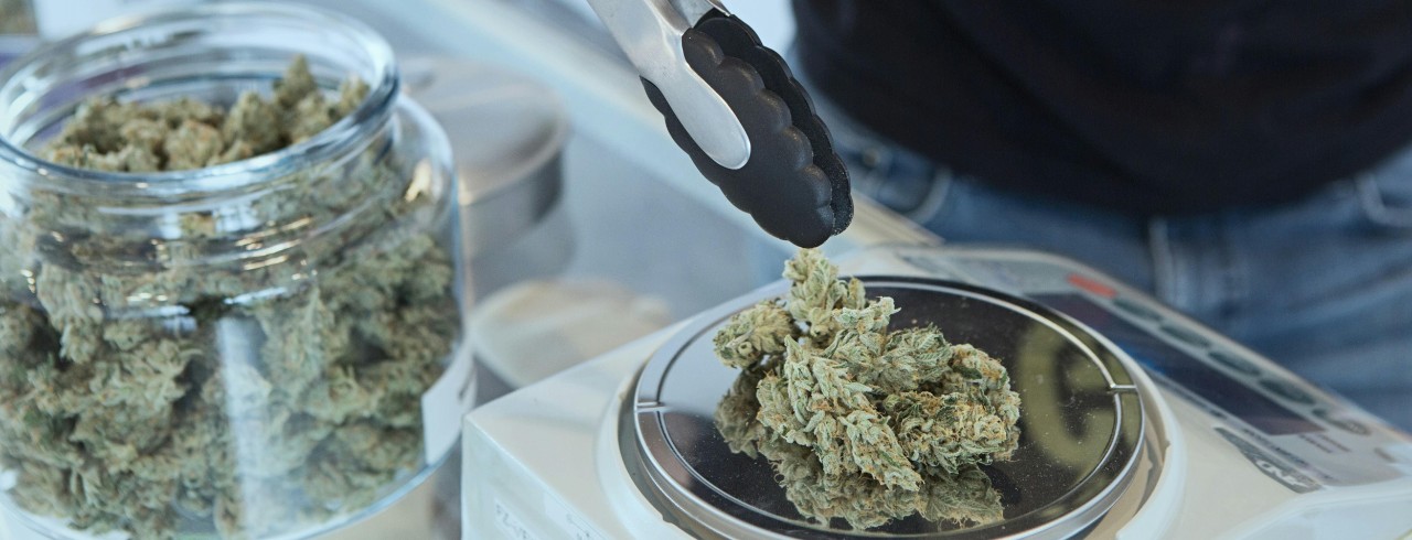 Marijuana in a cannabis dispensary.