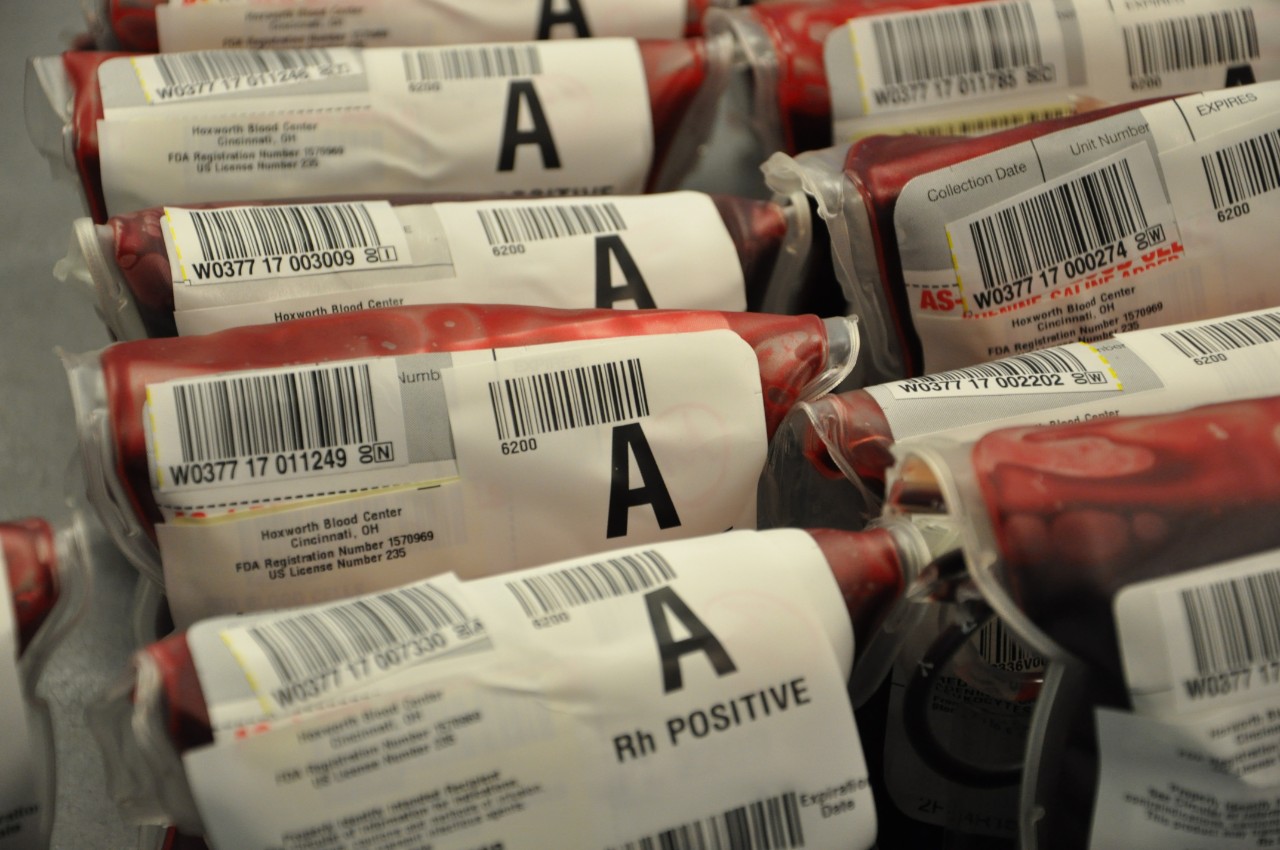 Bags of donated blood