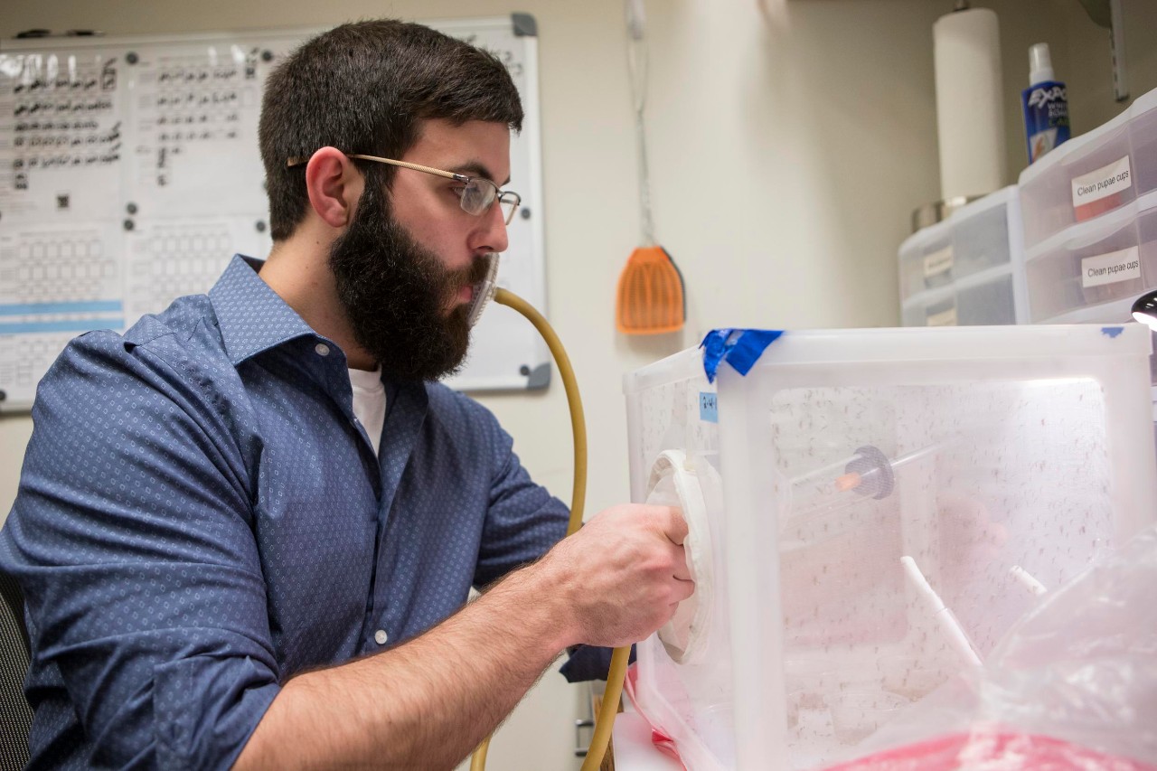 Dr. Joshua Benoit leads a team of researchers studying mosquitoes. Student Christopher Holmes