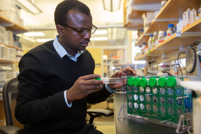 Josh Benoit, Ph.D. student Oluwaseun Ajayi and undergraduate students Lucas Gleitz and Evan Smith are studying sleep patterns in mosquitoes.