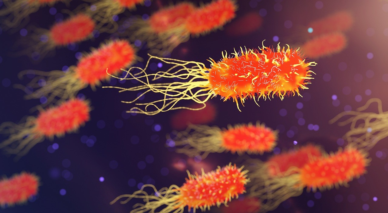 Image of micro-bacteria