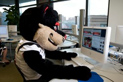 Bearcat in computer lab and with laptop on Mainstreet.  Shot to promote InCircle.