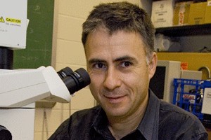 Michal Polak, associate professor of biological sciences
