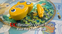 Finn the Glucose Fish