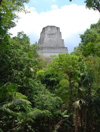 Mayan temple