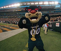 Bearcat at Paul Brown Stadium during Oklahoma game.