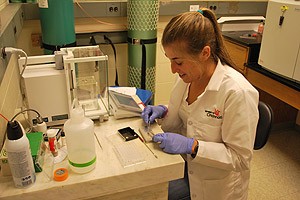 Sage Roth analyzes soil samples as part of her research on urbanization.