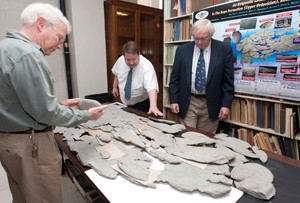 Paleontologists study the specimen