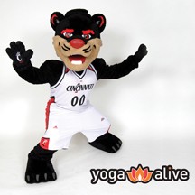 Bearcat - Yoga Alive