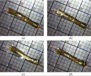 This set of images shows a free-floating hydrogel (2.6 cm in length) moving through water as it shrinks and swells.