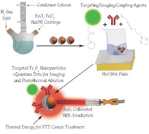 Schematic of nanoparticle construction.