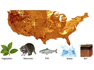 Map showing variability in predicted Sr isotope ratios across the contiguous United States and representatives of the five materials used in this study (Local Water Model predictions from Bataille and Bowen 2012, Chemical Geology 304-305:39-52).