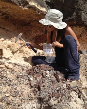 A geology professor digs for ancient snails in a deep pit.