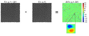 In frames separated by 10 seconds of time, particles that moved significantly give rise to coupled spots of low (blue) and high (red) intensity.