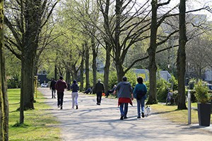 adults walking in the park