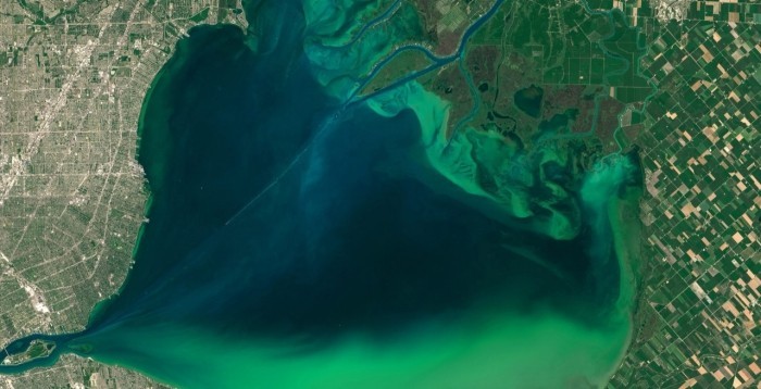 satellite view of Lake Erie with an algal bloom