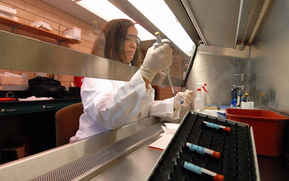 Sandy Roda, director of the Hematology and Environmental Laboratories at UC, tests blood for trace metals. 