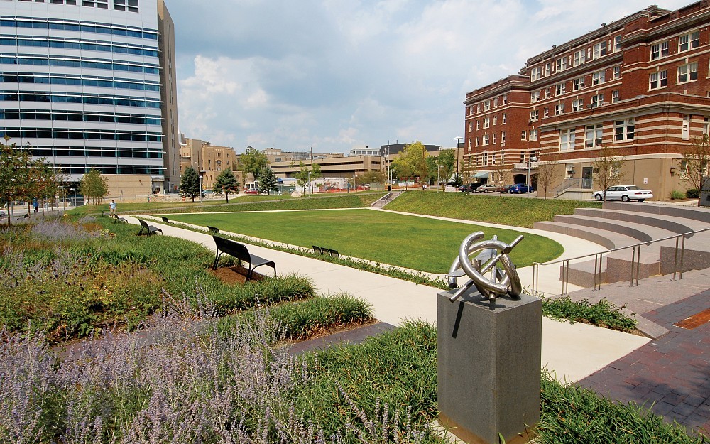 Levine Park was recently redesigned as part of the MSB renovations.