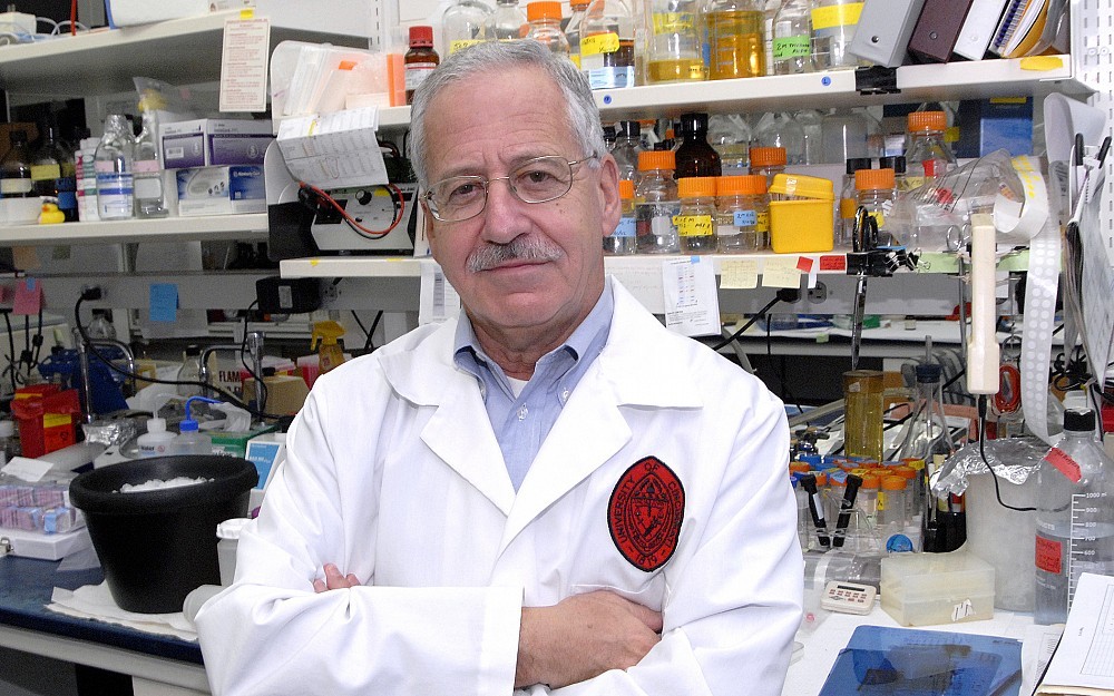 Peter Stambrook, PhD, is a professor of molecular genetics, biochemistry and microbiology. 