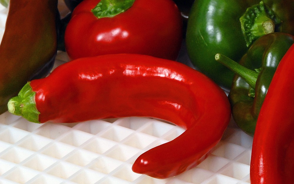 Capsaicin, the main component of chili peppers, may help patients with a number of ailments.
