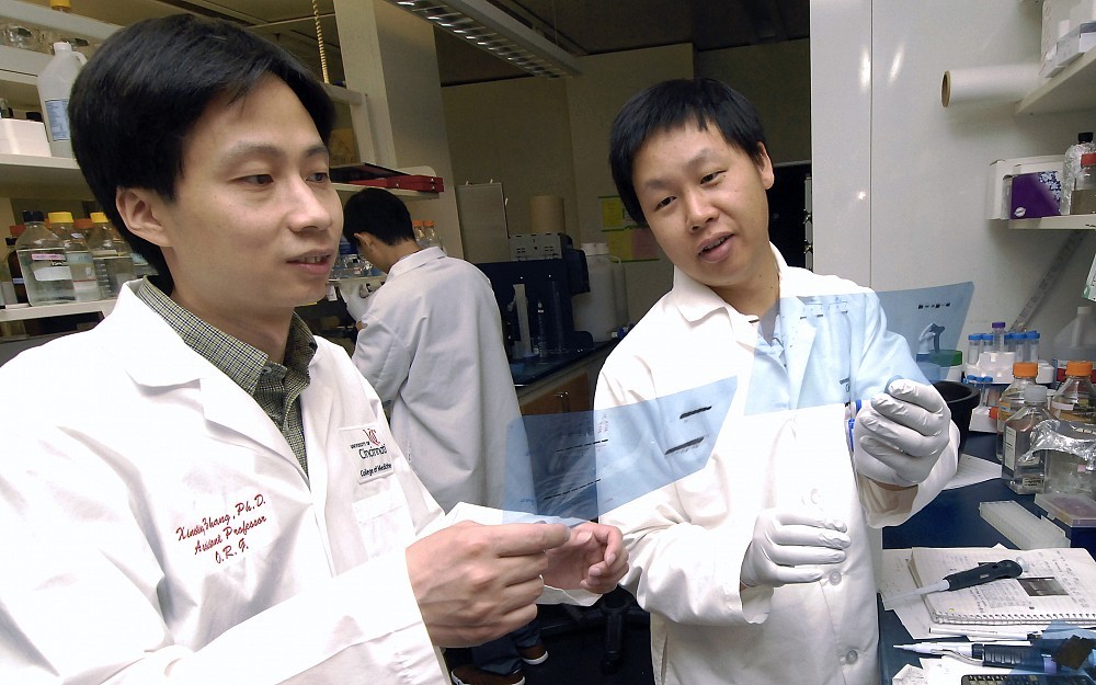Xiaoting Zhang, PhD, and Dingxiao Zhang at the Vontz Center for Molecular Studies.