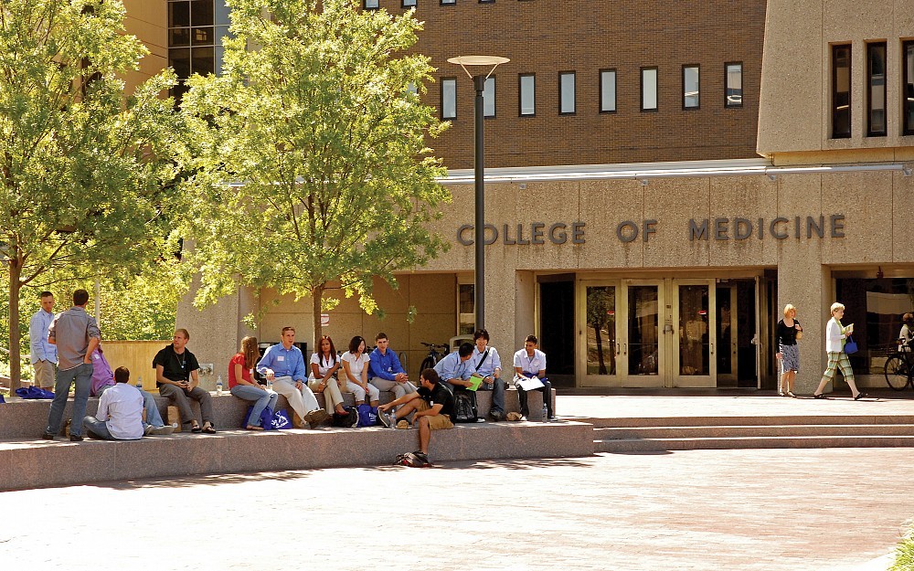 Students gather outside the Medical Sciences Building (MSB).  