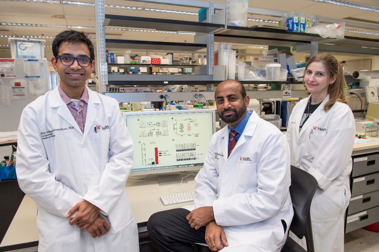 Sakthivel Sadayappan, PhD, shown with two researchers in the UC College of Medicine. 