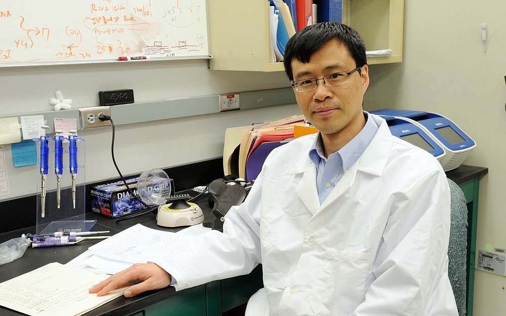Aimin Chen, MD, PhD