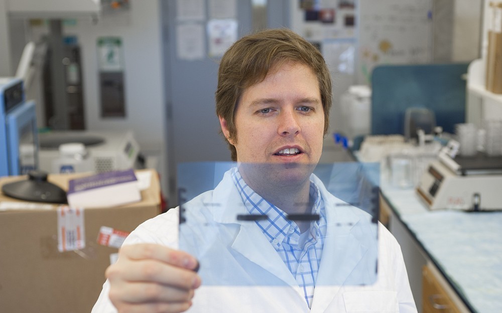 Tom Cunningham, PhD, assistant professor in the Department of Cancer Biology