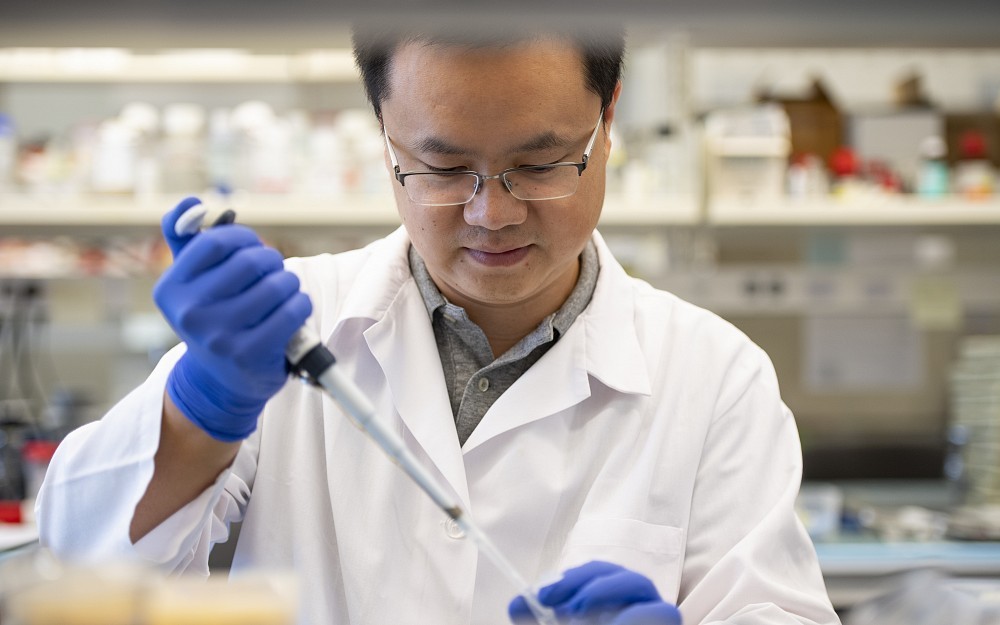 Chenran Wang, PhD, assistant professor of cancer biology